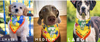 Dogs Bandana