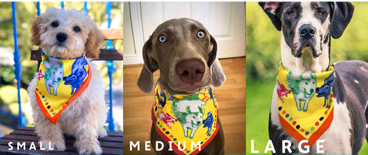 Dogs Bandana