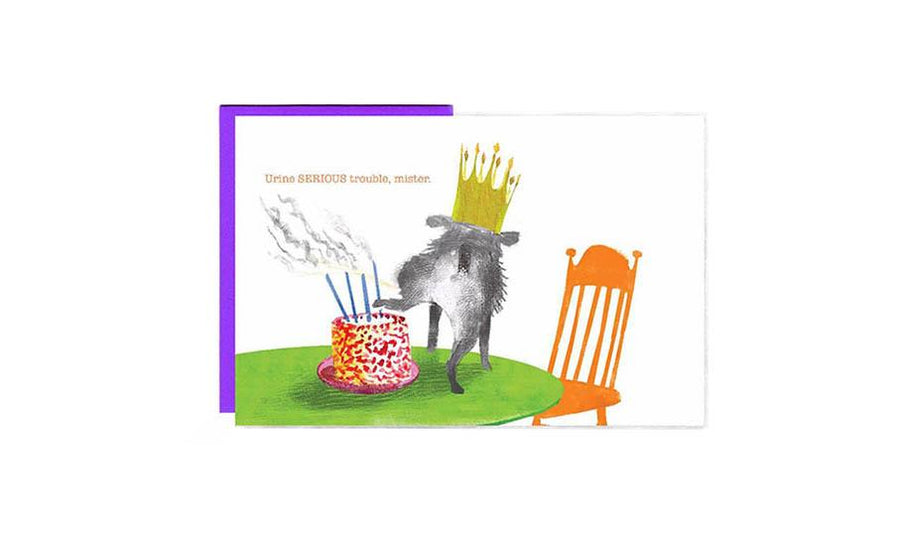 Live Off Leash - Set of 8 Cards