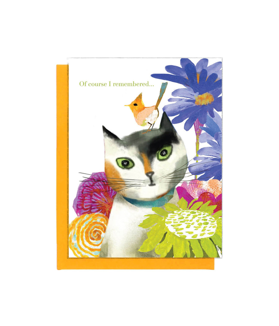 Feline Felicitations - Set of 8 Cards