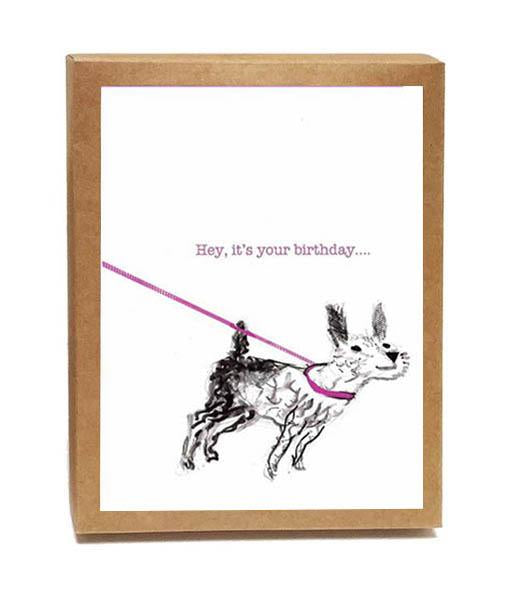 Live Off Leash - Set of 8 Cards